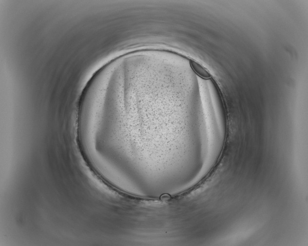 X0000111781526200908061104
