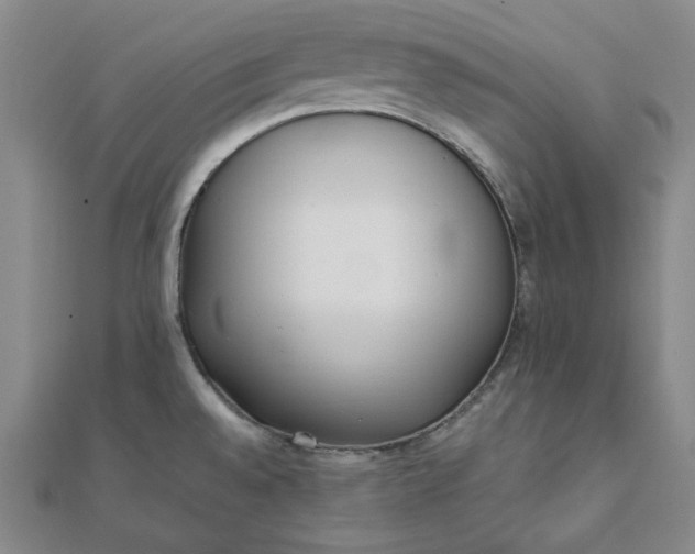 X0000111781528200908061104