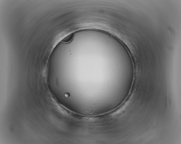 X0000111781529200908061104
