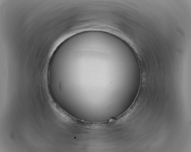 X0000111781530200908061104