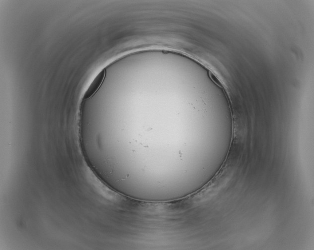 X0000111781532200908061104