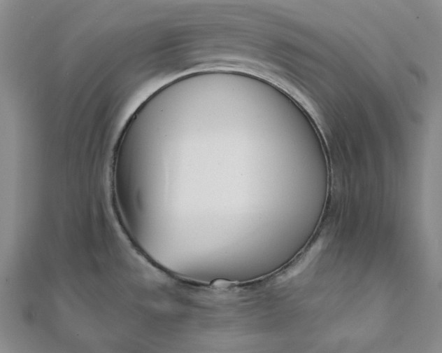 X0000111781533200908061104