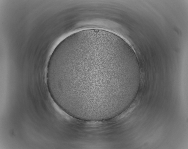 X0000111781535200908061104