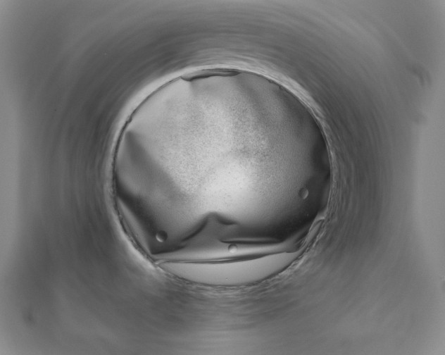 X0000111781536200908061104