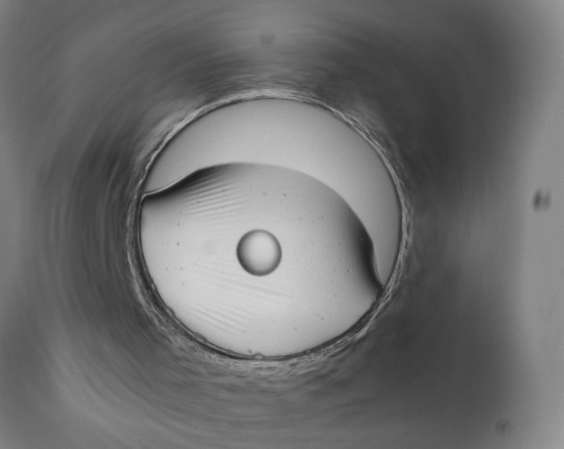 X0000111780001200908131400