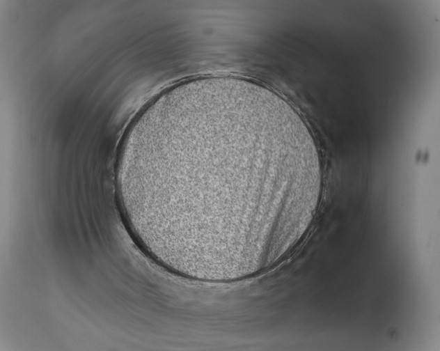 X0000111780002200908131359