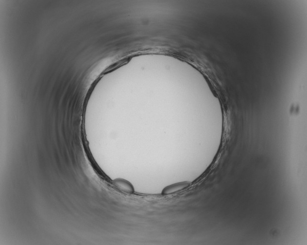X0000111780003200908131359