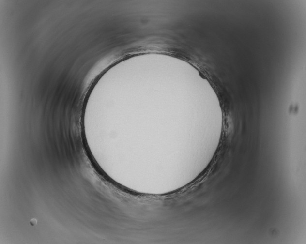 X0000111780004200908131359