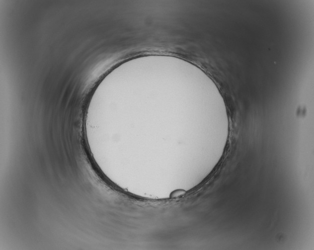 X0000111780005200908131359