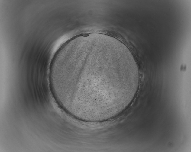 X0000111780006200908131359