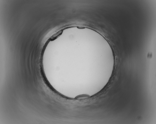 X0000111780007200908131359