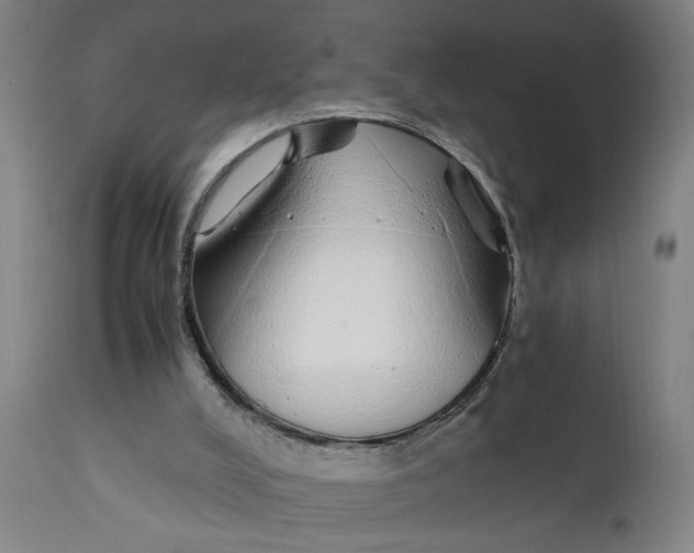 X0000111780008200908131359