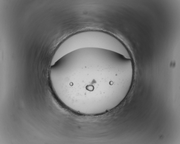 X0000111780009200908131359