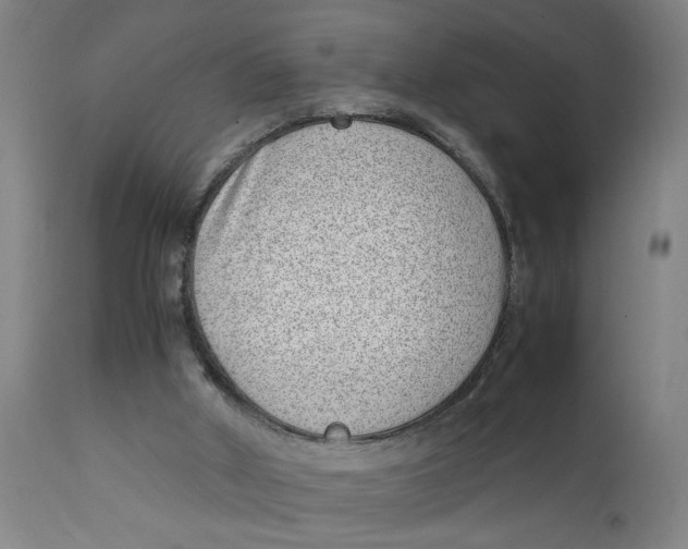 X0000111780010200908131359