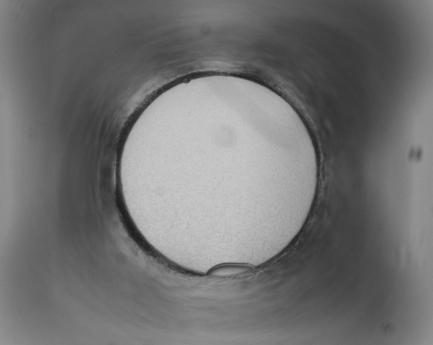 X0000111780011200908131359