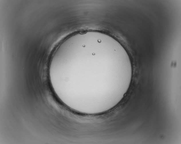 X0000111780012200908131359