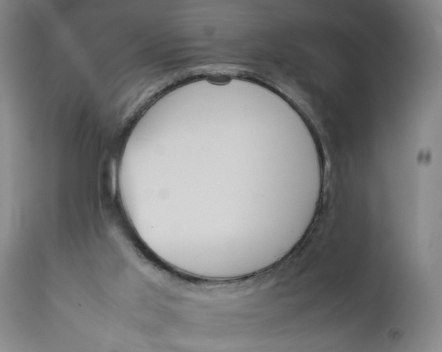 X0000111780013200908131359