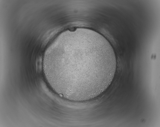 X0000111780014200908131359