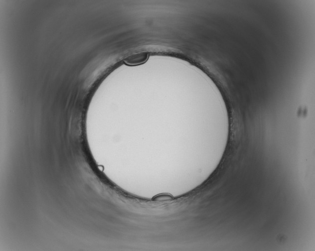 X0000111780015200908131359