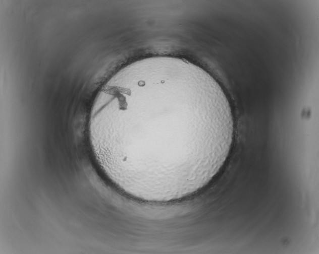 X0000111780018200908131359