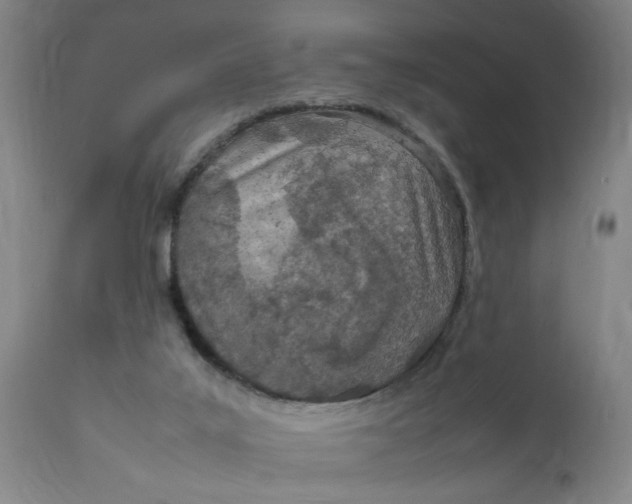 X0000111780019200908131359