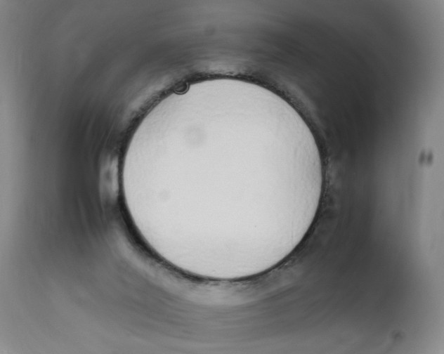X0000111780020200908131359