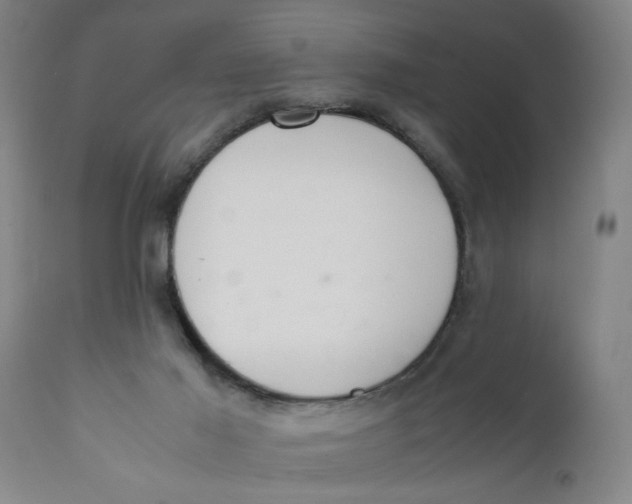 X0000111780021200908131359