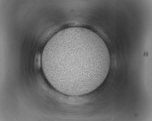 X0000111780022200908131359
