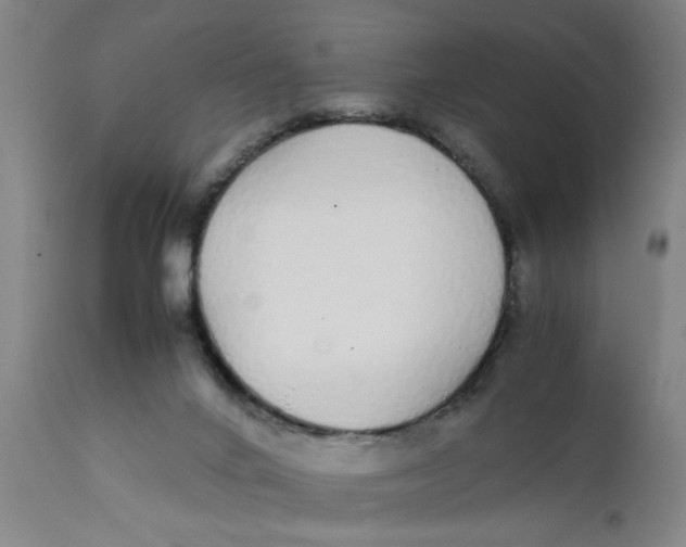 X0000111780024200908131359