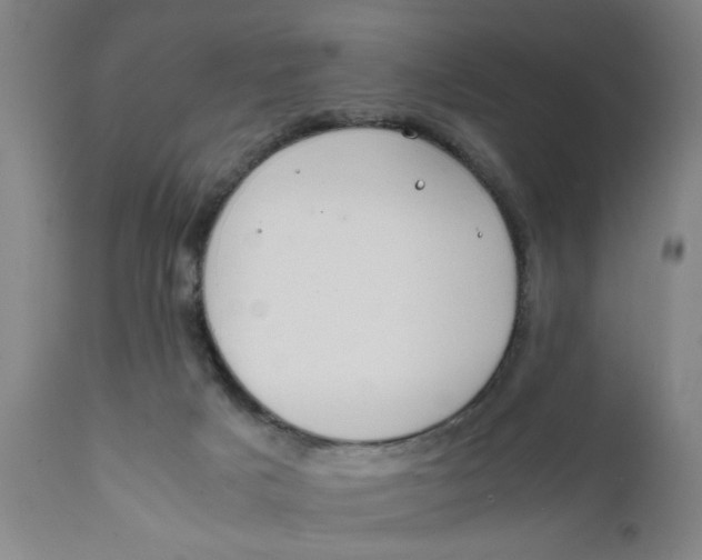 X0000111780025200908131359