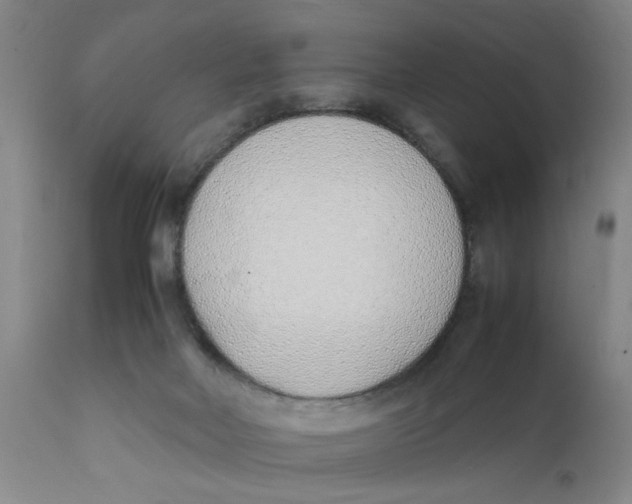 X0000111780026200908131359