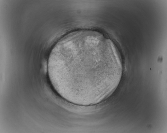 X0000111780027200908131359