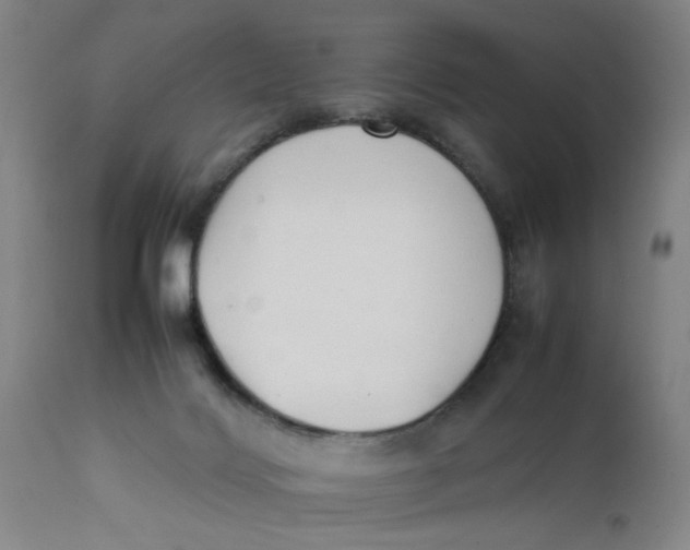 X0000111780028200908131359