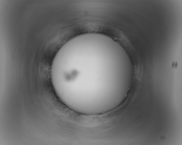 X0000111780029200908131359
