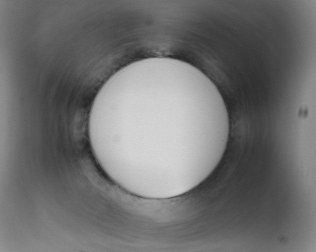 X0000111780030200908131359