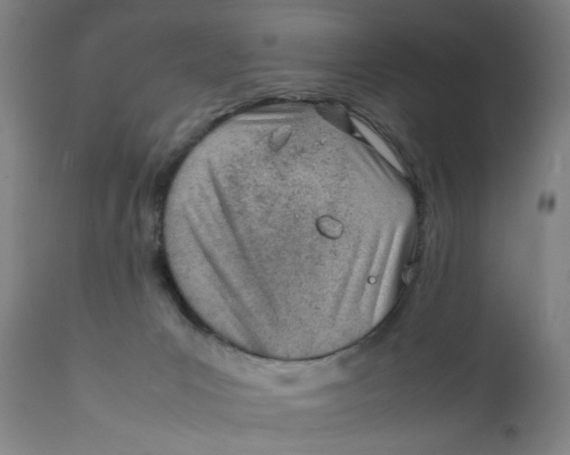 X0000111780031200908131359