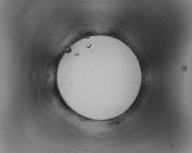 X0000111780032200908131359
