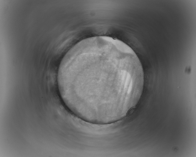 X0000111780035200908131359