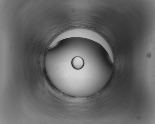 X0000111780036200908131359