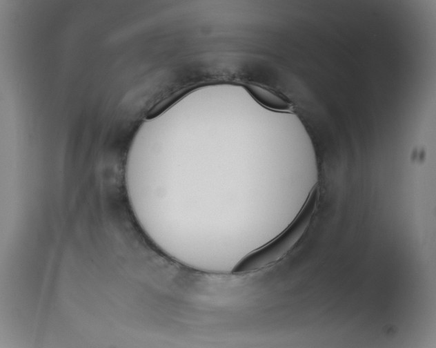 X0000111780037200908131359