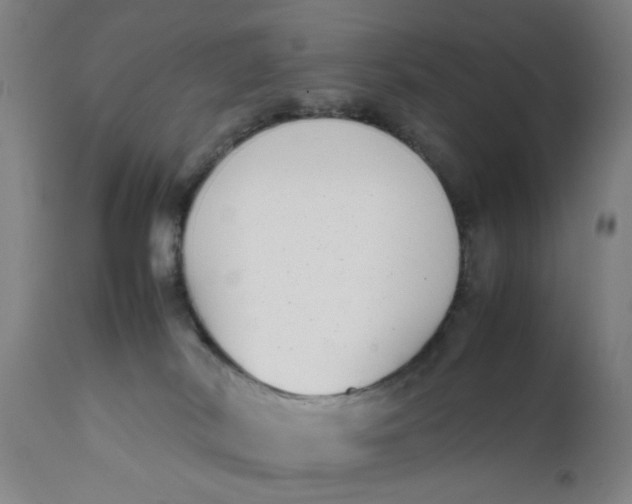 X0000111780038200908131359