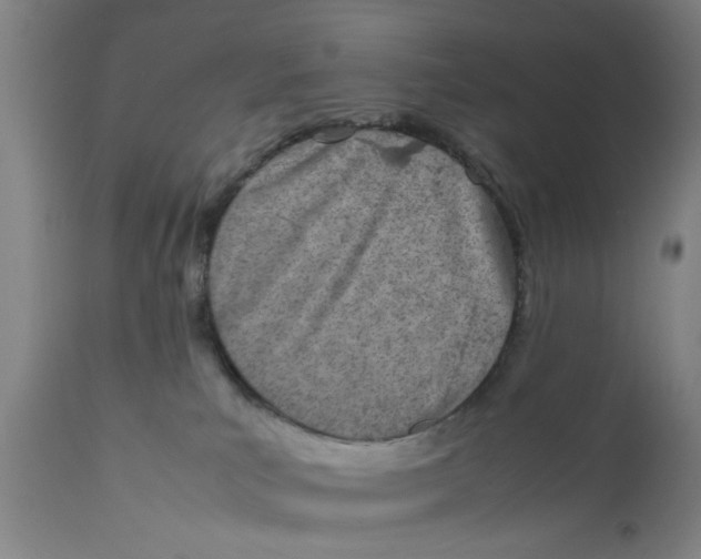 X0000111780039200908131359