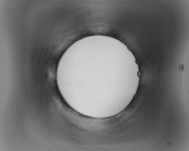 X0000111780040200908131359