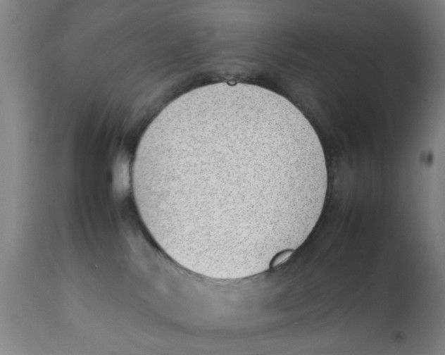 X0000111780042200908131359