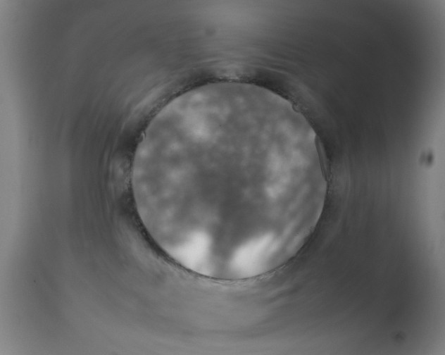 X0000111780043200908131359