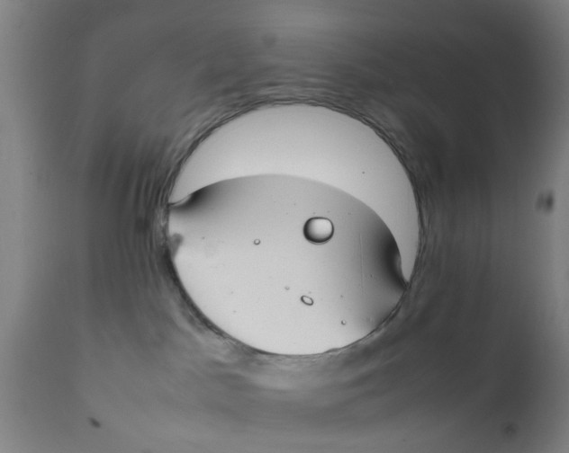 X0000111780045200908131359