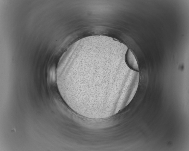 X0000111780046200908131359