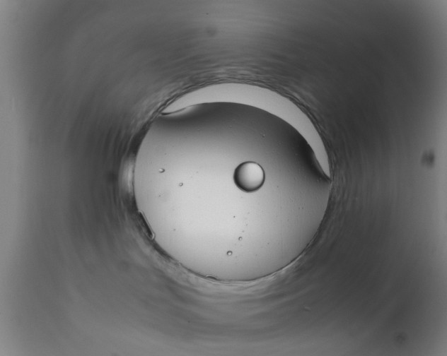 X0000111780047200908131359