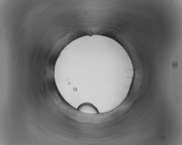X0000111780048200908131359
