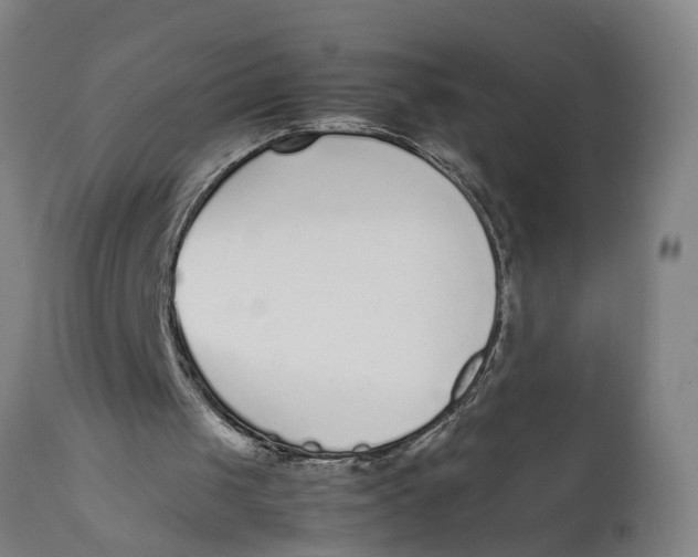X0000111780049200908131358